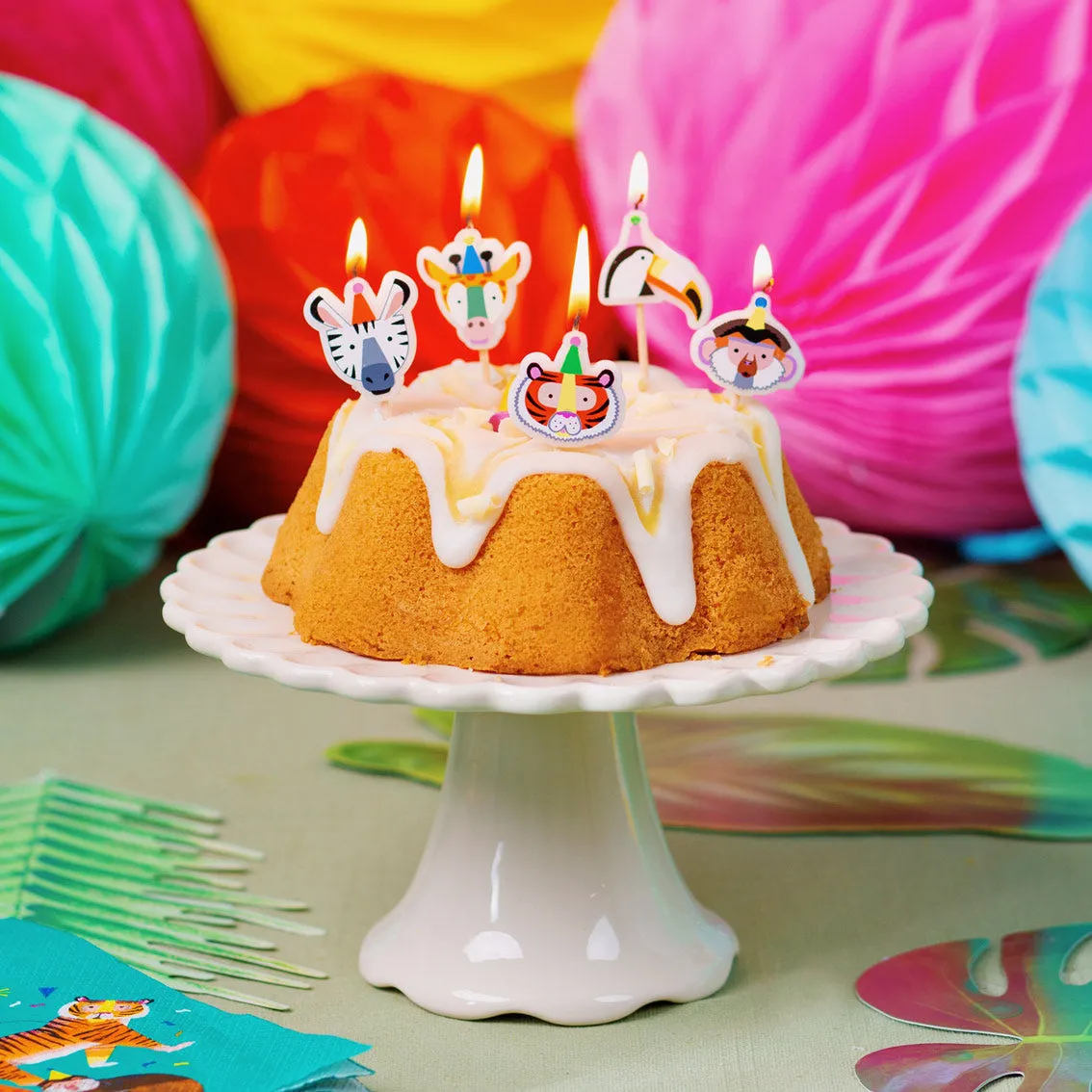 Animal Birthday Candles 5 Pack by Talking Tables