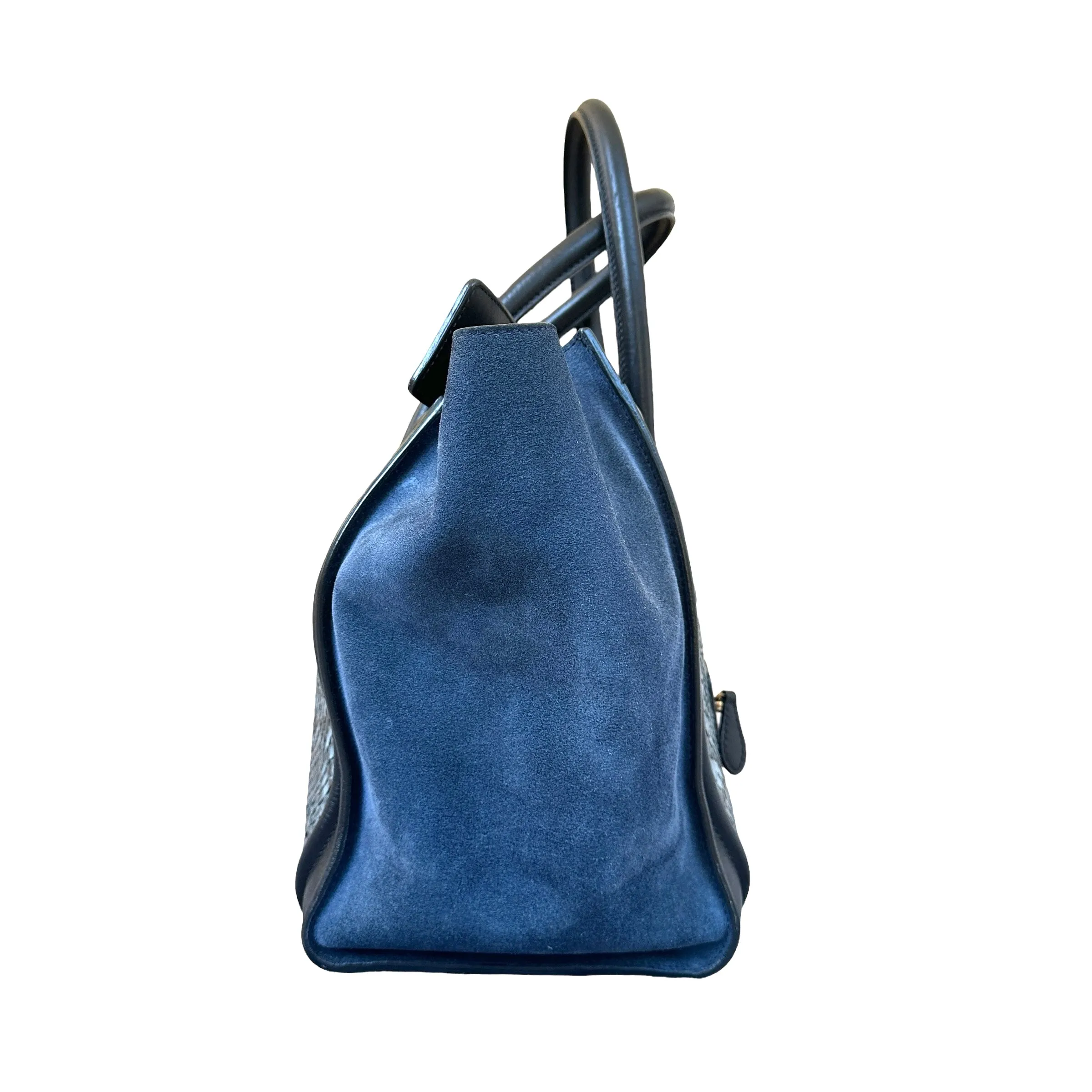 Blue Python Luggage Tote