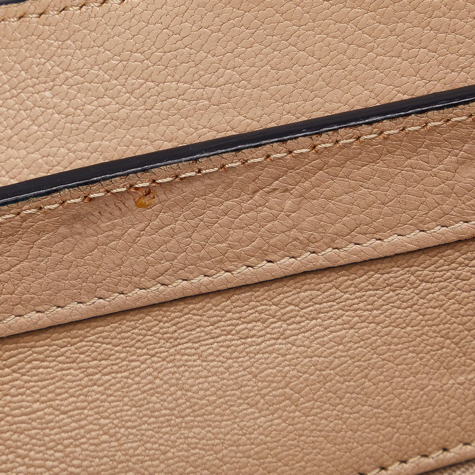 Celine Micro Luggage Tote Bicolor (SHG-x7hidE)
