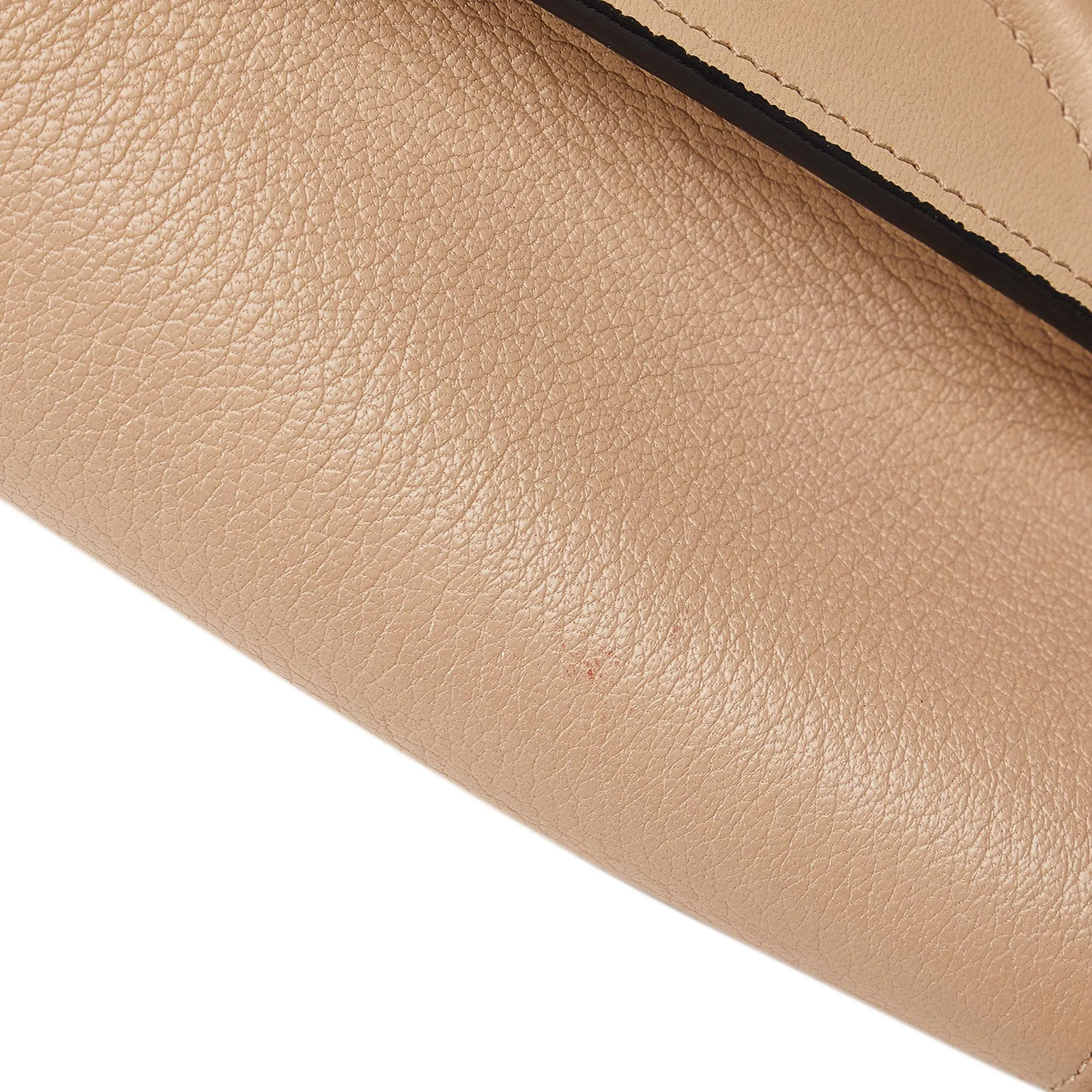 Celine Micro Luggage Tote Bicolor (SHG-x7hidE)