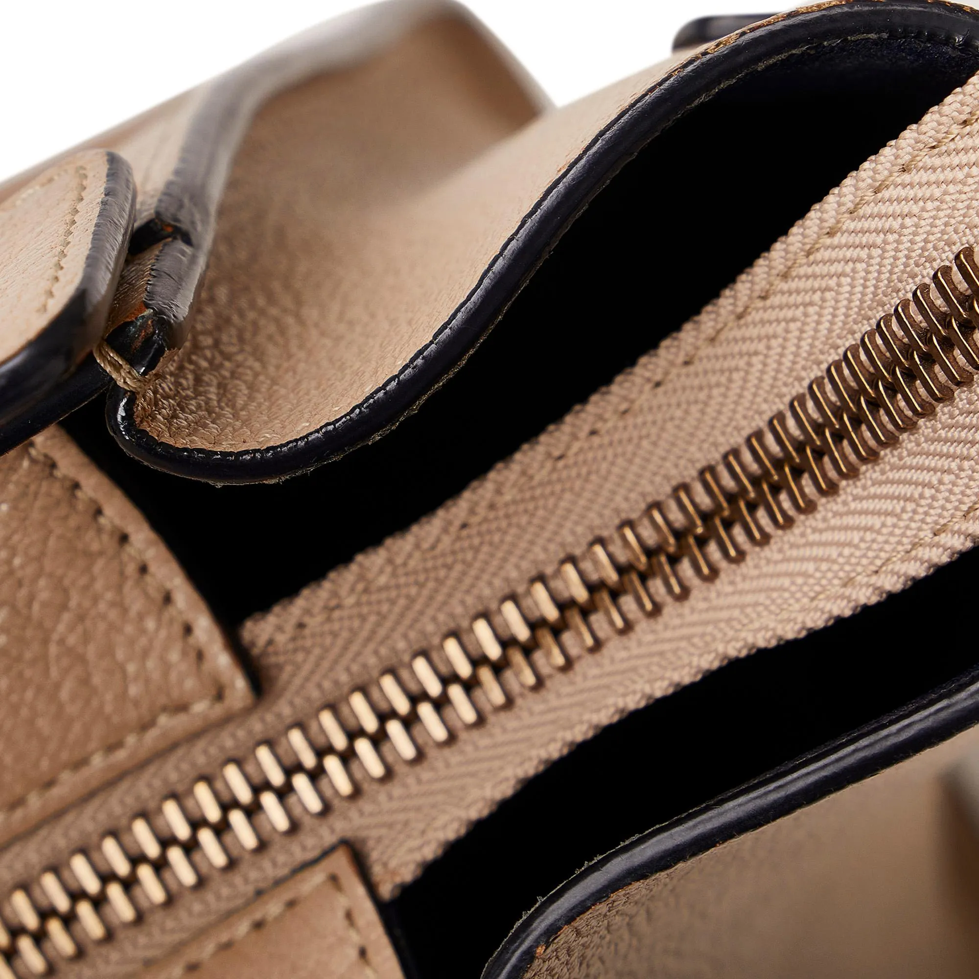 Celine Micro Luggage Tote Bicolor (SHG-x7hidE)