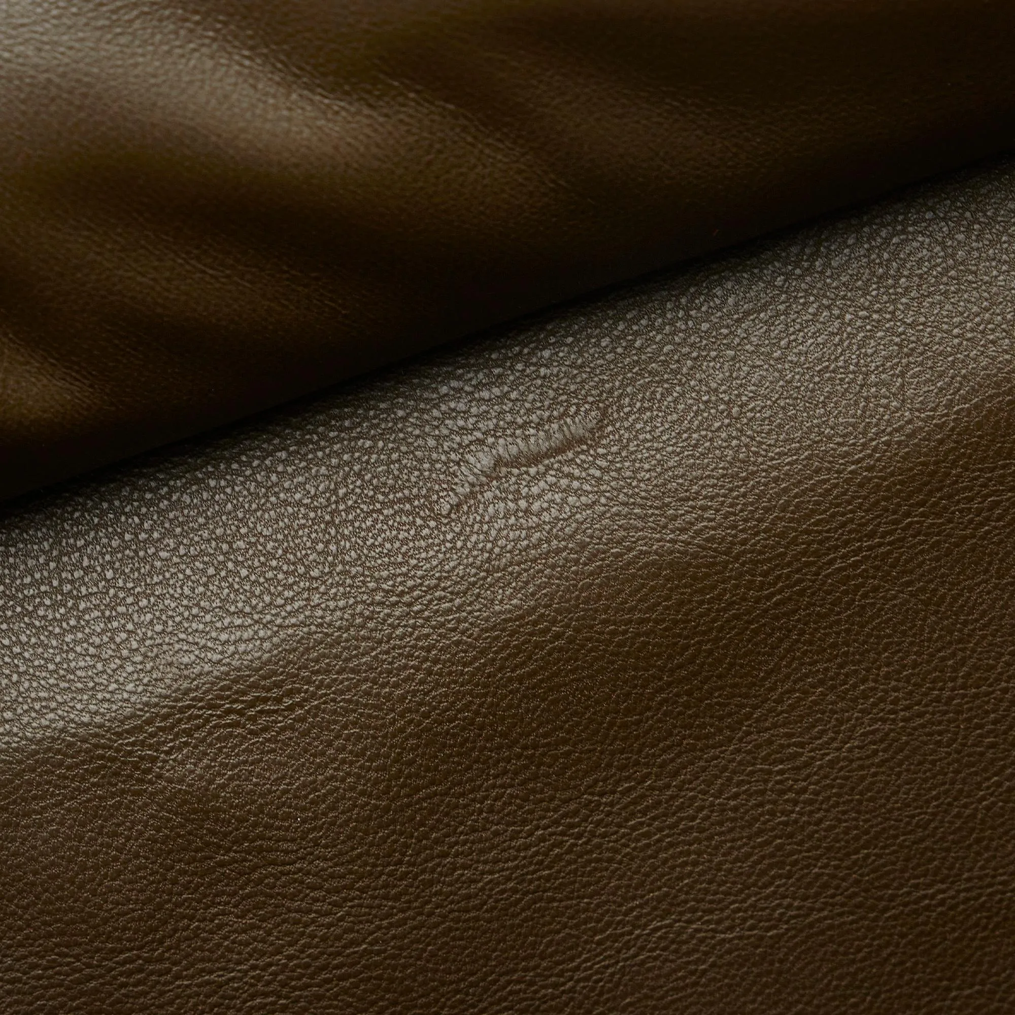 Celine Mini Luggage Tote (SHG-5Annei)