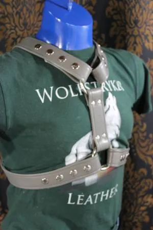 Classic Extended X Harness