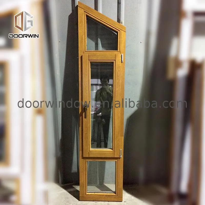 DOORWIN 2021Factory price Manufacturer Supplier unique window designs shaped windows house