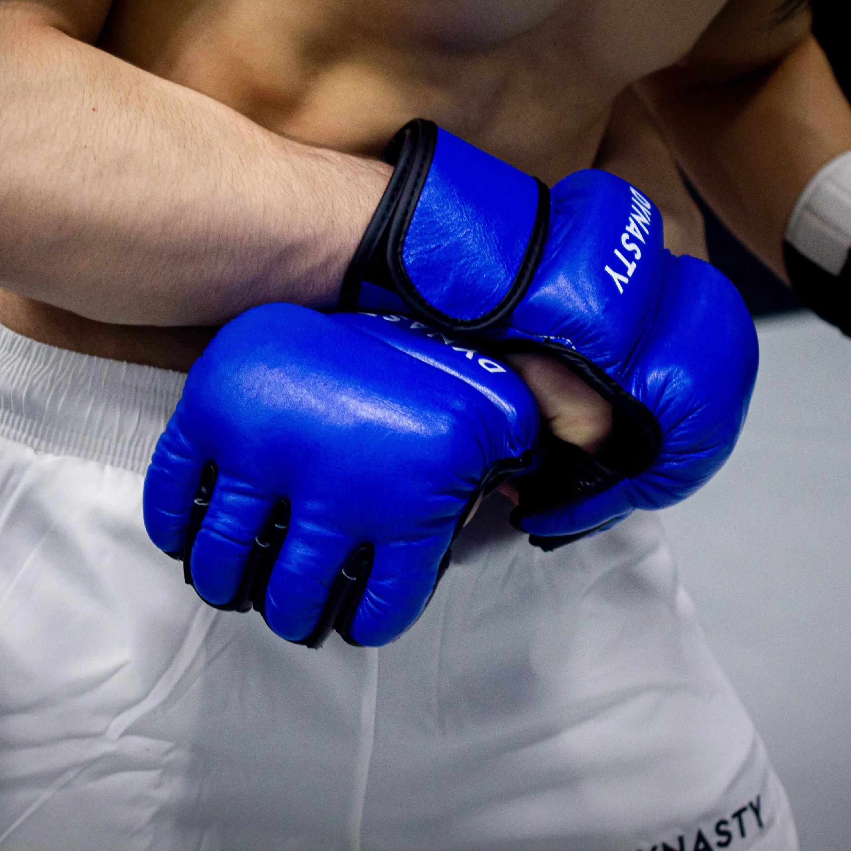 Renaissance (PRIDE) 3 MMA Fight Gloves (Classic Blue)