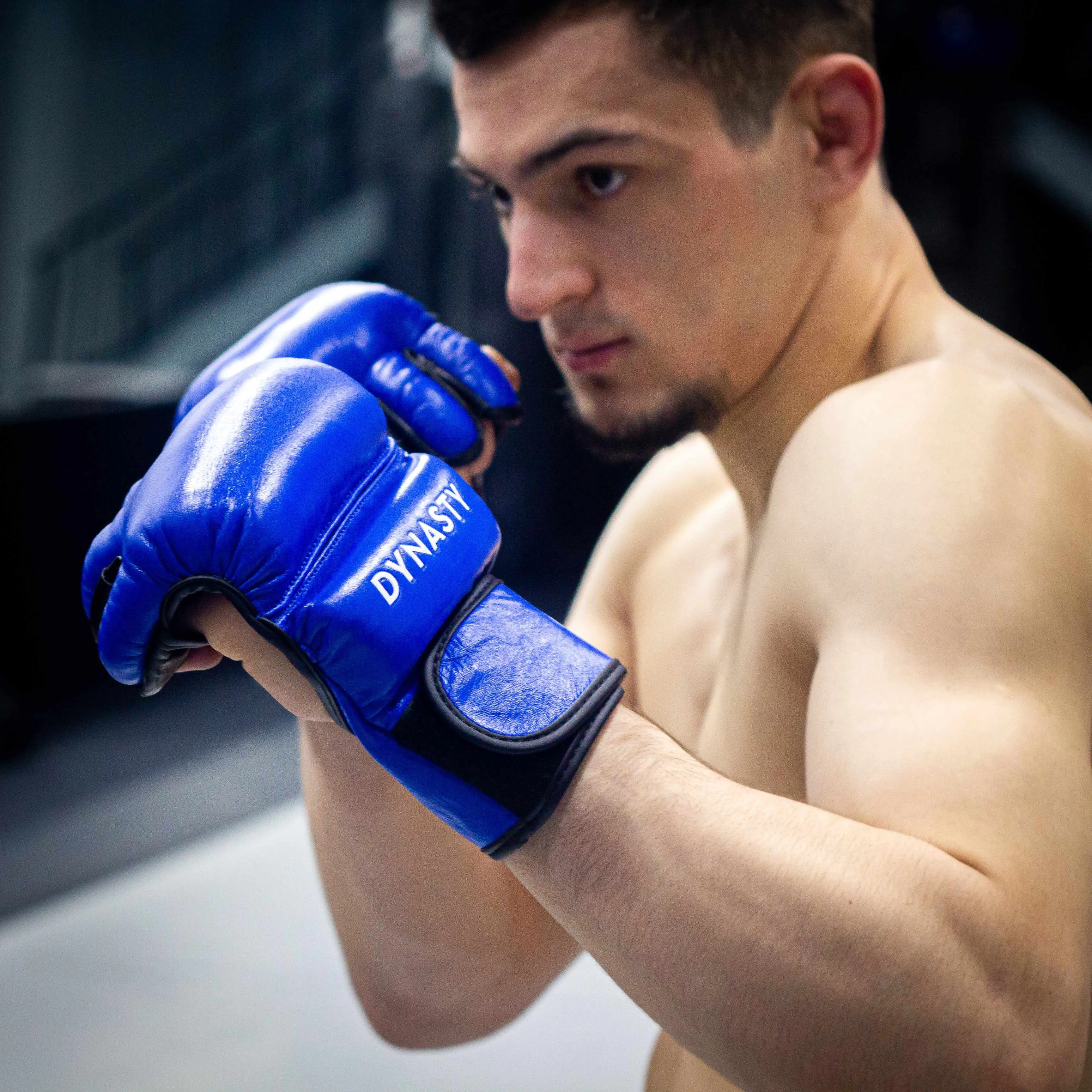 Renaissance (PRIDE) 3 MMA Fight Gloves (Classic Blue)