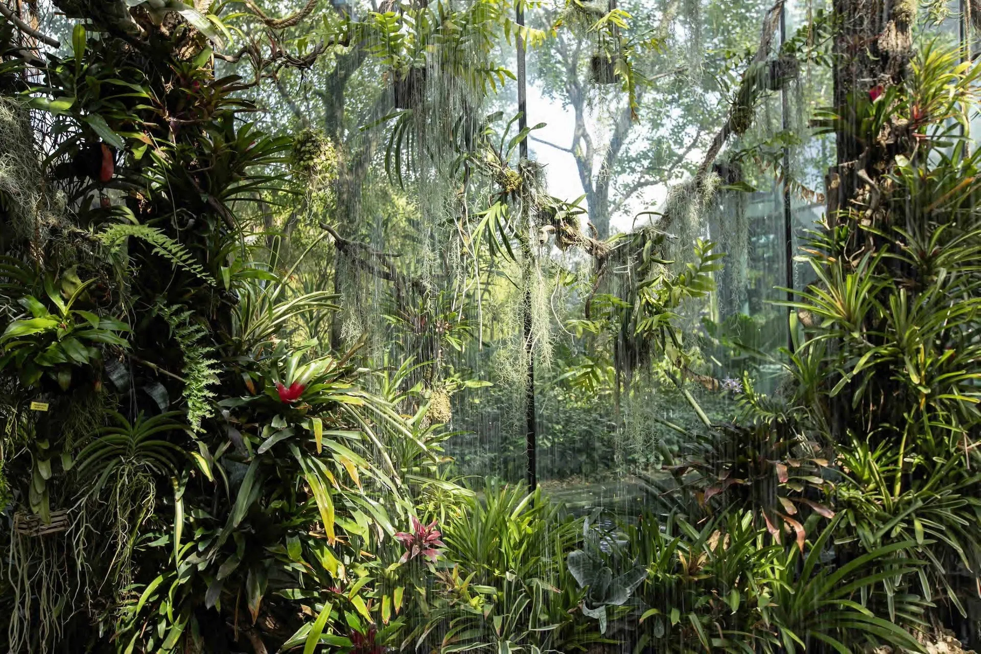 The Garden of Calypso - Matilde Gattoni