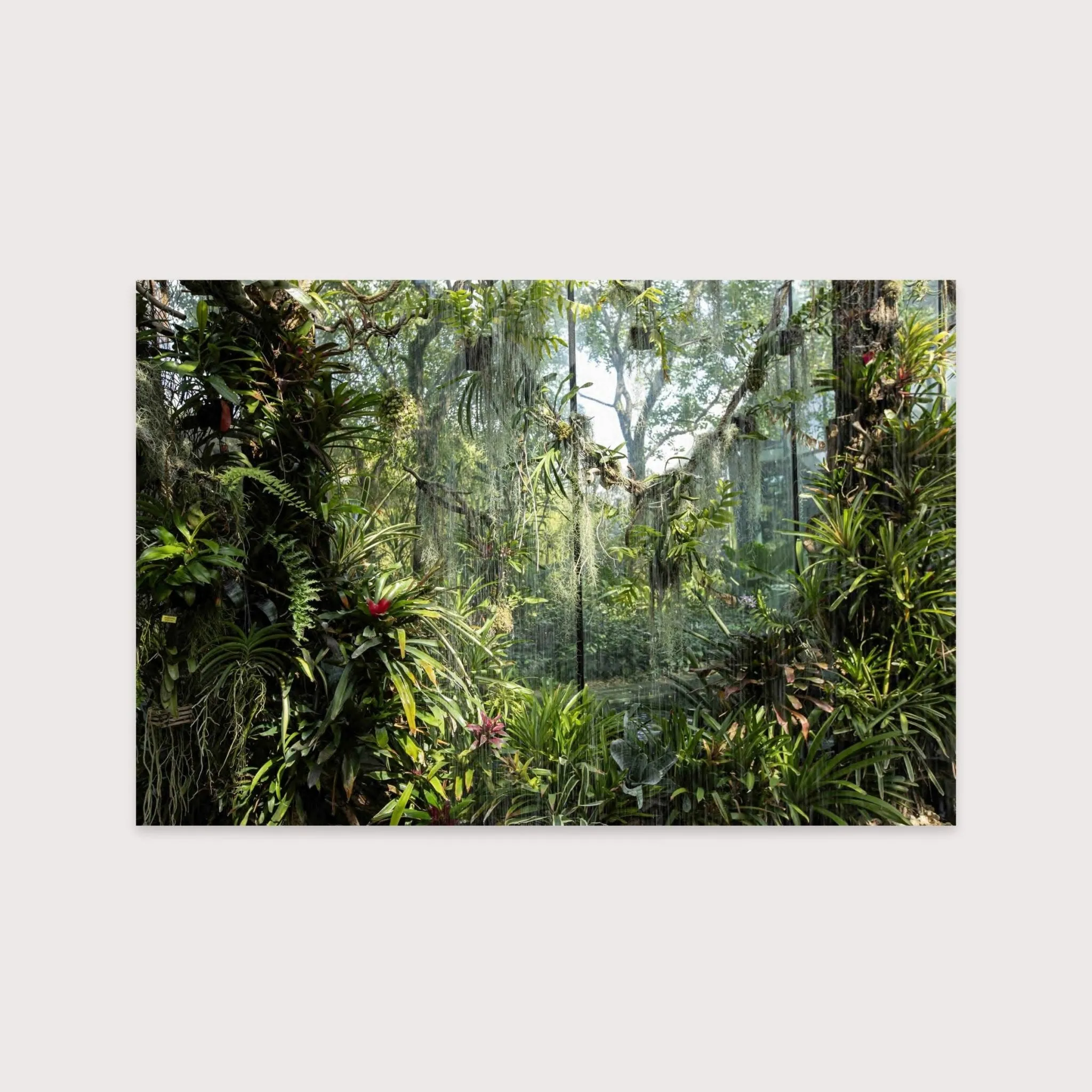 The Garden of Calypso - Matilde Gattoni